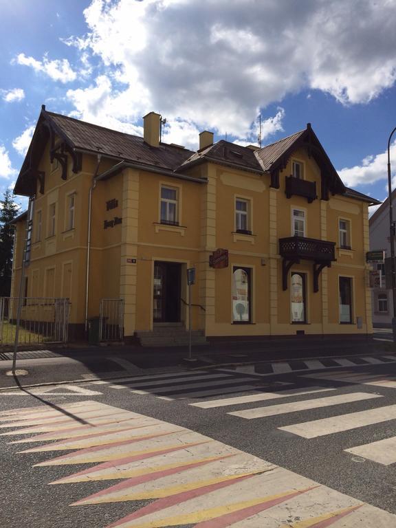 Pension Vidhous 1 Františkovy Lázně Екстериор снимка